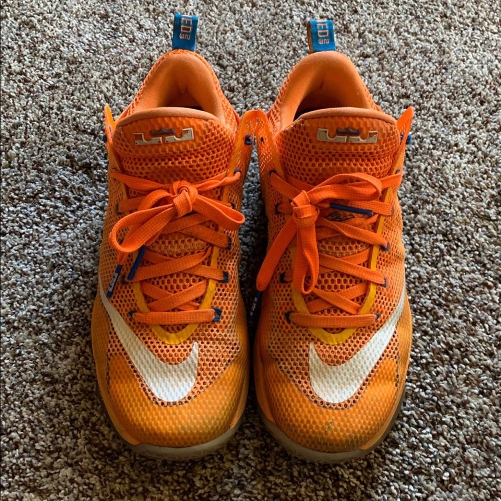 LeBron basketball shoes size 8.5